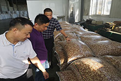 陳國棟總經理帶隊考察糧油平臺標桿企業(yè)